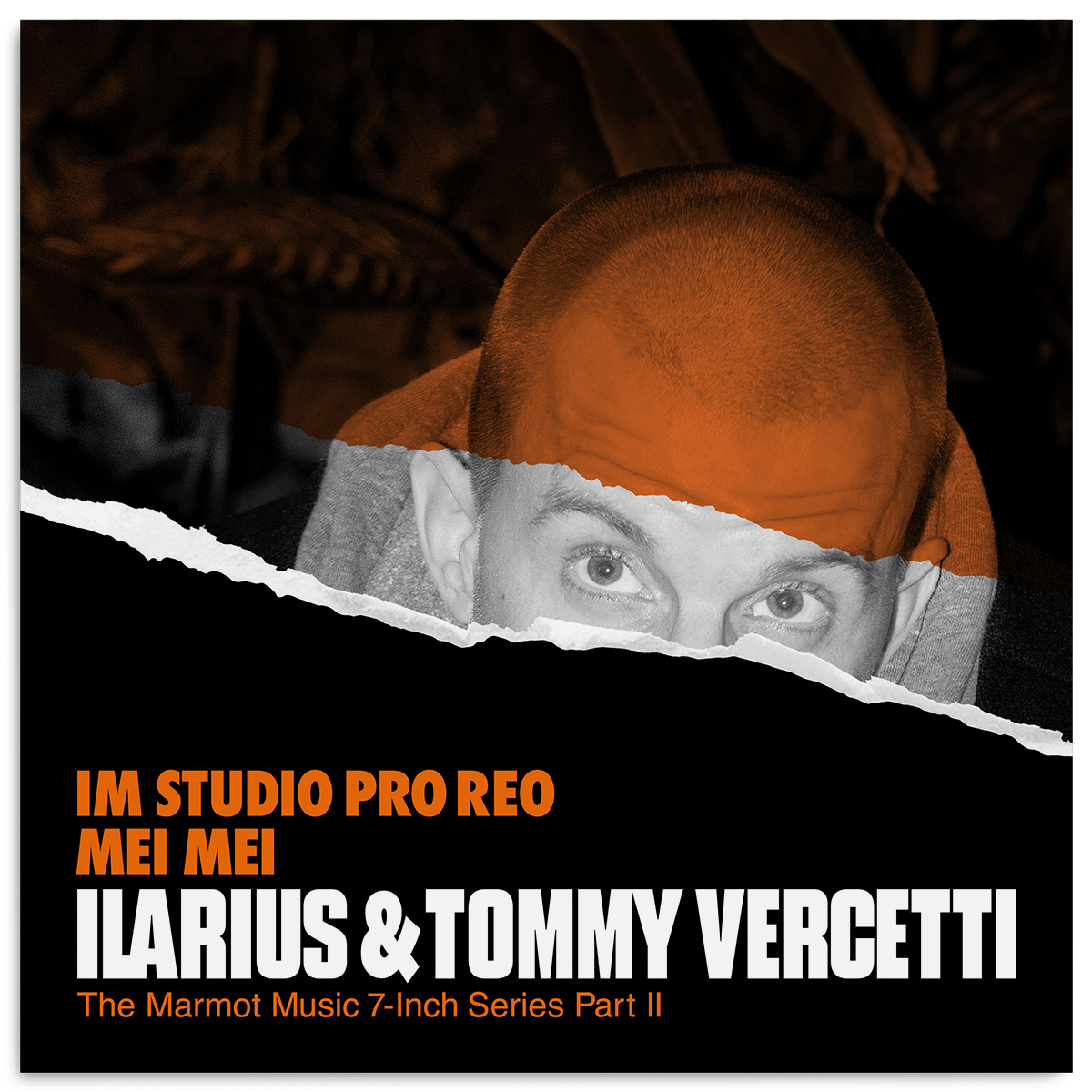 marmot ilarius tommy vercetti