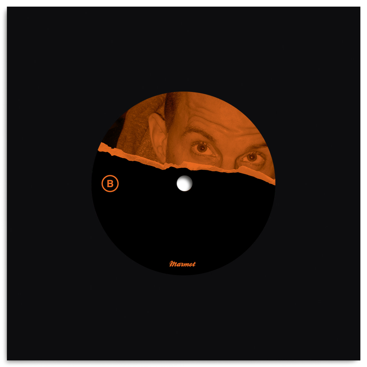 marmot ilarius tommy vercetti